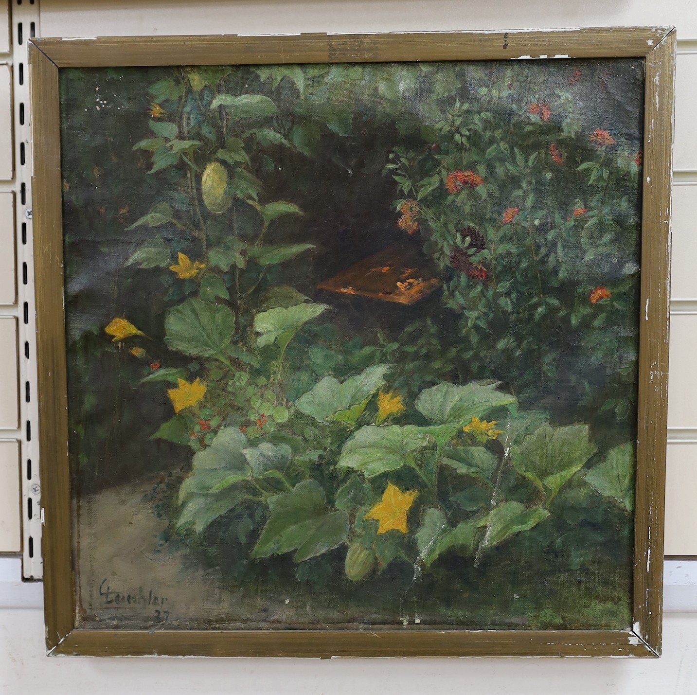 Leischler, oil on canvas, Sketch of courgette plant in a garden, signed and dated '37, 43 x 44cm